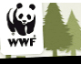 Découvrez le classement WWF des papiers les plus éco-responsables