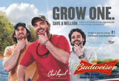 budweiser-grow-one