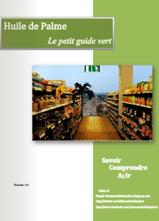 huile-de-palme-petit-guide-vert