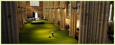 Un beau gazon à l'anglaise dans la cathédrale de York Minster