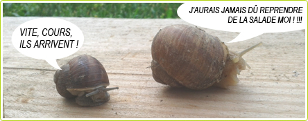 23-blague-escargots