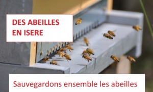 des abeilles en Isère