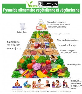 Pyramide alimentaire des vegétariens