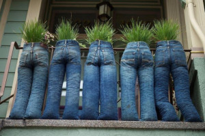 Pots de fleurs en jean