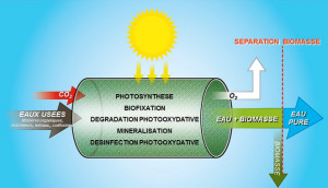 Purification Bio solaire