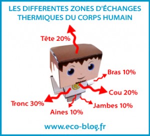 Les différentes zones d'échange thermique du corps humain