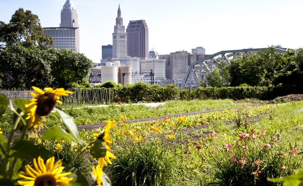 http://www.ohiocity.org/ohio-city-farm