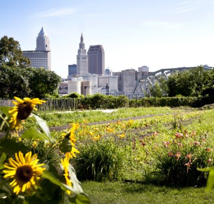 http://www.ohiocity.org/ohio-city-farm